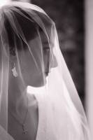 Capucine MOREL - CAPUCINE MOREL