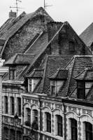 Capucine MOREL - CAPUCINE MOREL